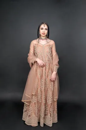 Silk Georgette Net Light Caramel  Brown Embroidered Gown