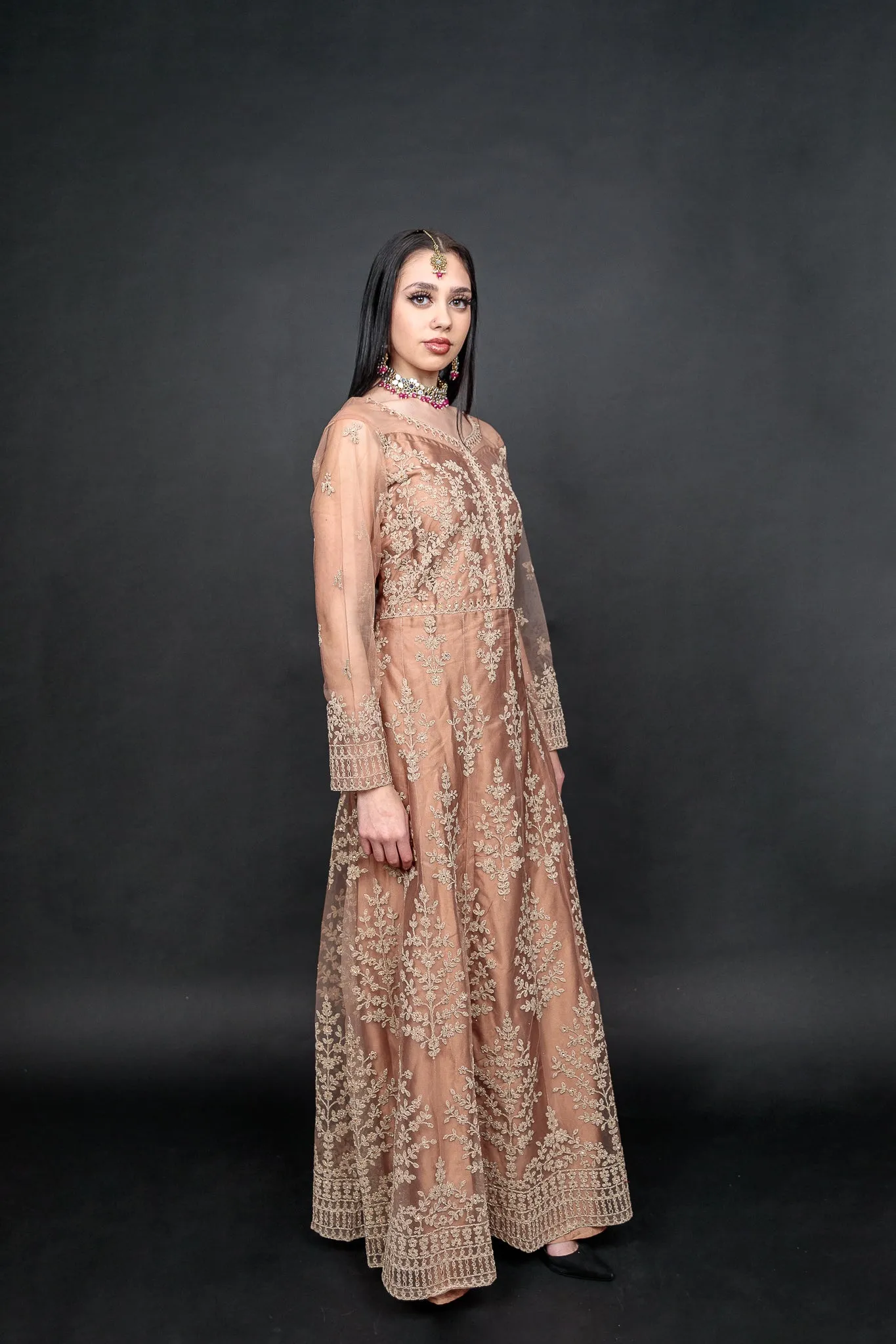 Silk Georgette Net Light Caramel  Brown Embroidered Gown