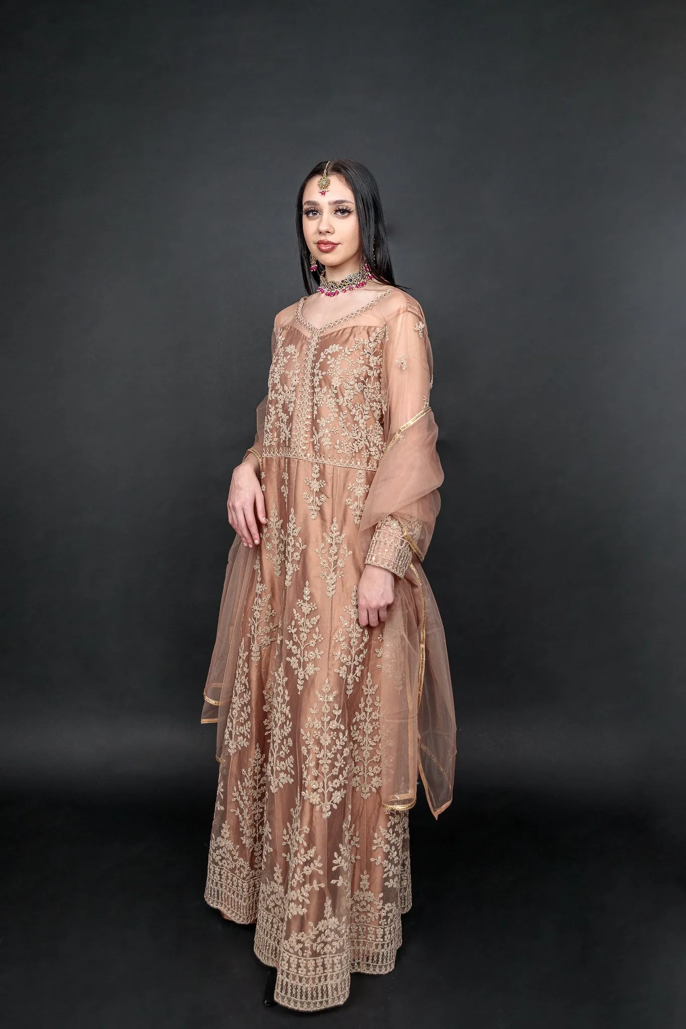 Silk Georgette Net Light Caramel  Brown Embroidered Gown