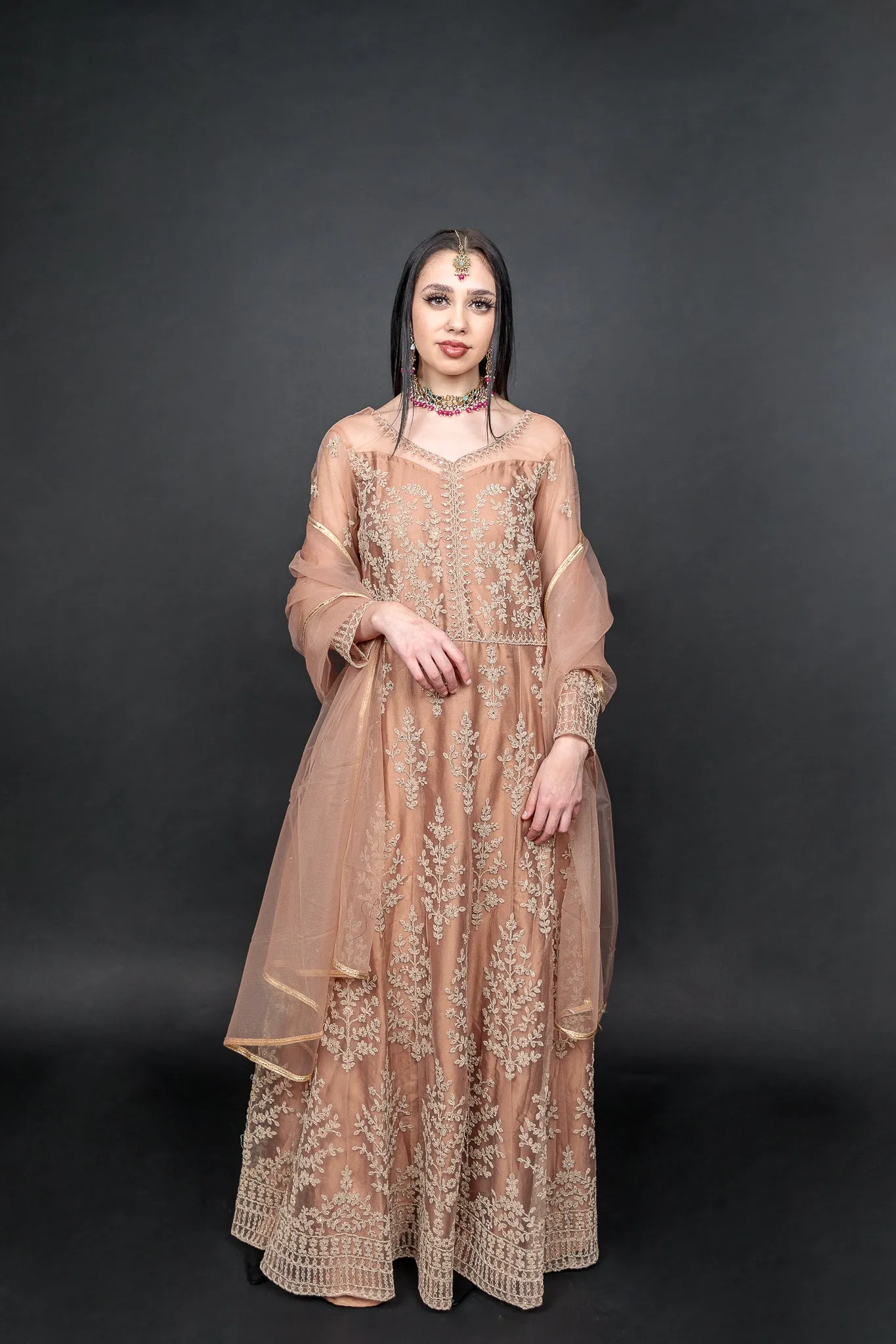 Silk Georgette Net Light Caramel  Brown Embroidered Gown